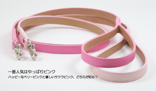 Le-02 新色4色追加お試し首輪第2弾用!本革製リード(小・中型犬用リード)