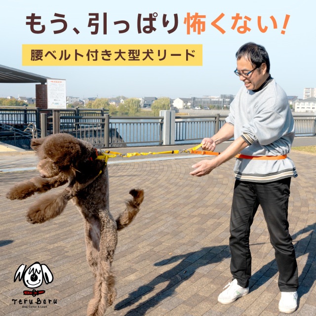 ワンダーフィット デュアルサポートリード 腰ベルト 引っ張り防止 引っ張る 転倒防止 すっぽ抜け防止 ダブルリード 犬 リード 腰 大型犬リード 太い 散歩 中型犬 頑丈 丈夫 lg-be