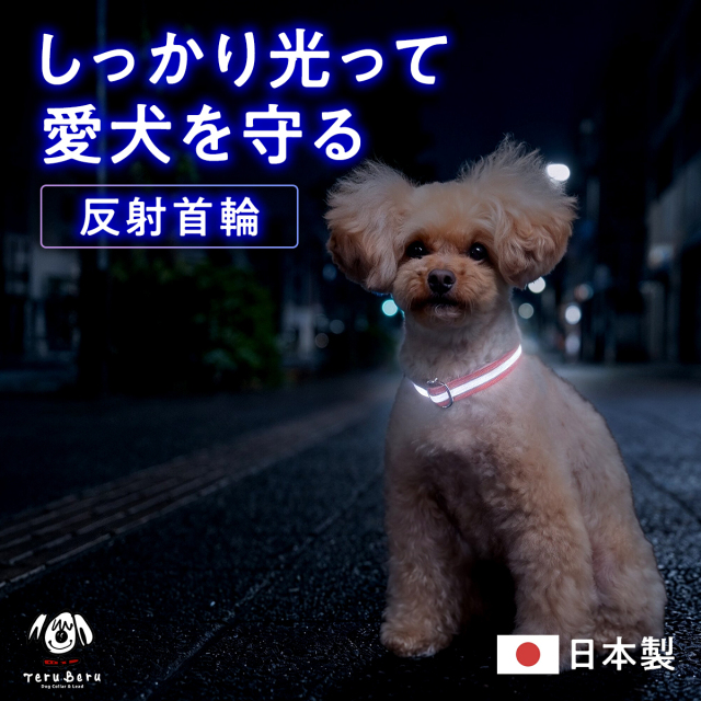 ワンダーフィット 反射 光る 犬首輪 日本製  夜道 目立つ リフレクター PP-1-RF