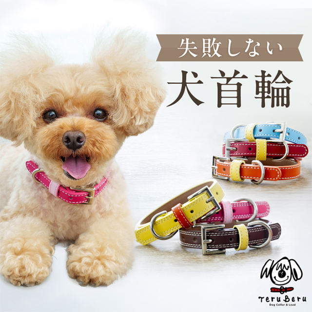 愛犬の首輪 Add.Mate アドメイト 犬用首輪 ソフトスキップカラーMレッド