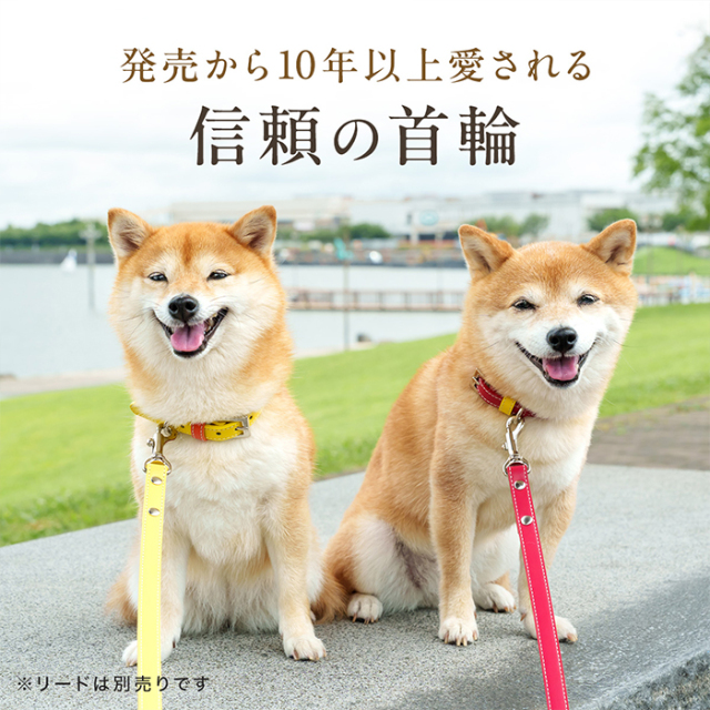 未使用　未開封　中型犬　首輪　Mサイズ　イエロー OT-M3 ☆本格レザーの中型犬・小型犬用犬首輪