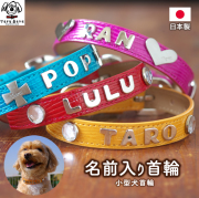 N-S  本革製イニシャル名入小型犬用犬首輪（レザー）