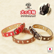 D-M  本革製ワイルドカラー中型犬用犬首輪（レザー）