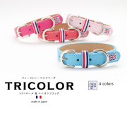 犬　首輪　トリコロールがかわいい シンプル4色カラー　 オプション迷子札（別売り）有り！