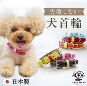 犬首輪 OT-M3 犬の首輪 本革製 迷子札も取付出来ます
