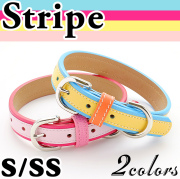 犬　首輪　ストライプがかわいい オプション迷子札（別売り）有り！