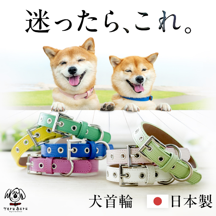 犬 首輪OT-M2 犬の首輪 小型犬、中型犬首輪　お揃いのリードも御座います。