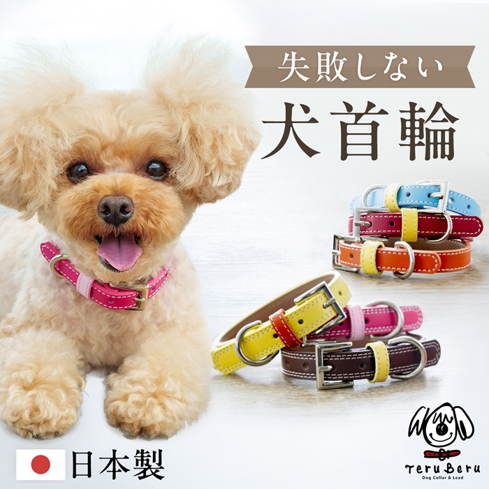 犬首輪 OT-M3 犬の首輪 本革製 迷子札も取付出来ます
