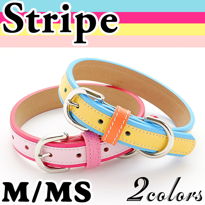 犬　首輪　中型犬　ストライプがかわいい オプション迷子札（別売り）有り！