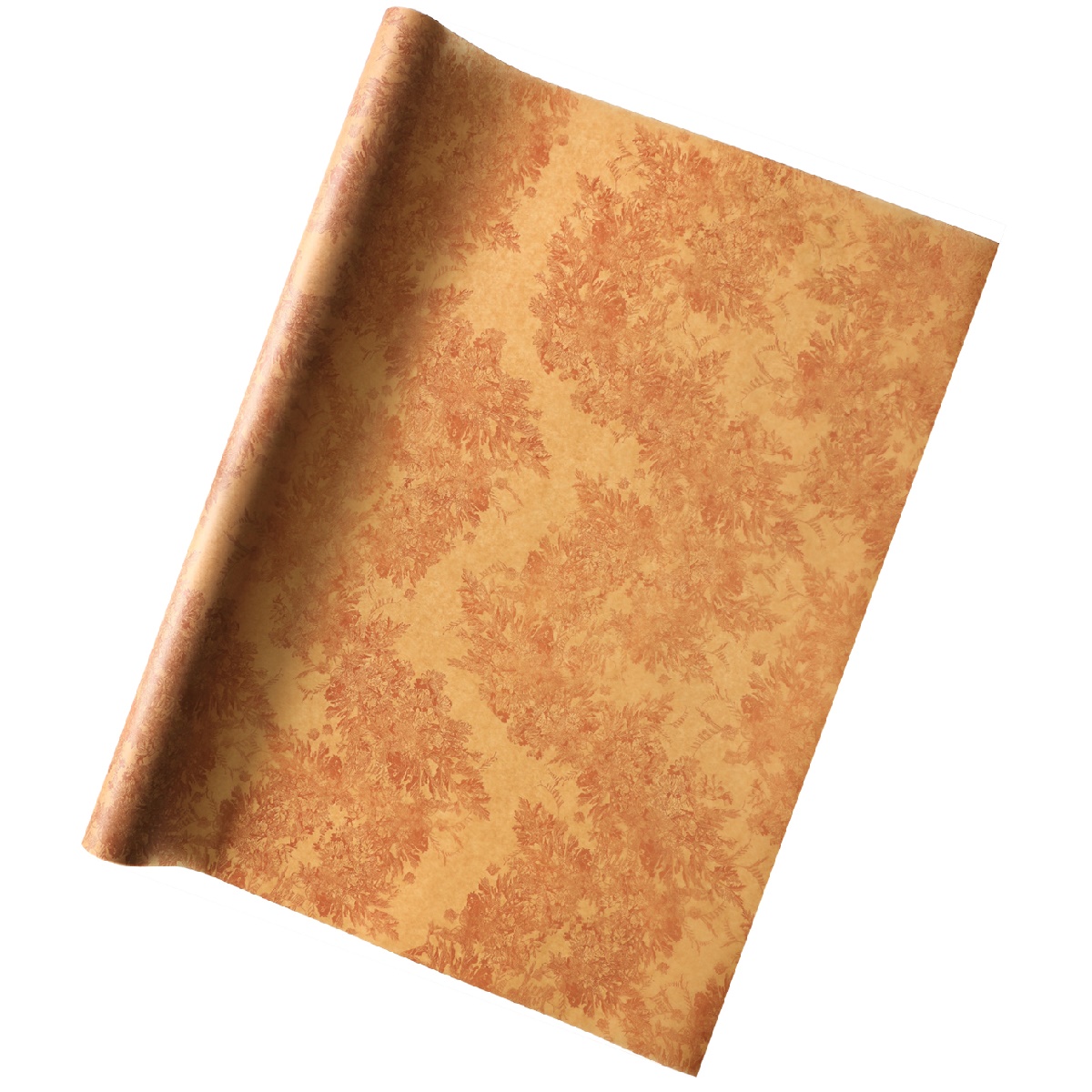 クロエブラウン広げ