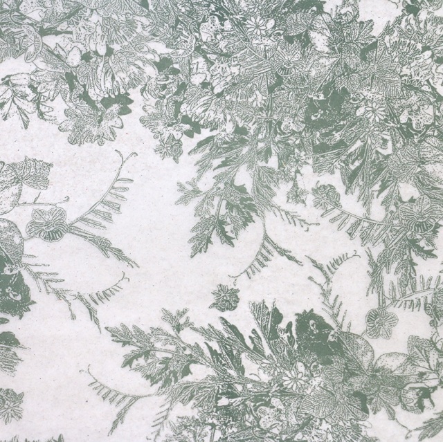 クロエ柄アップ