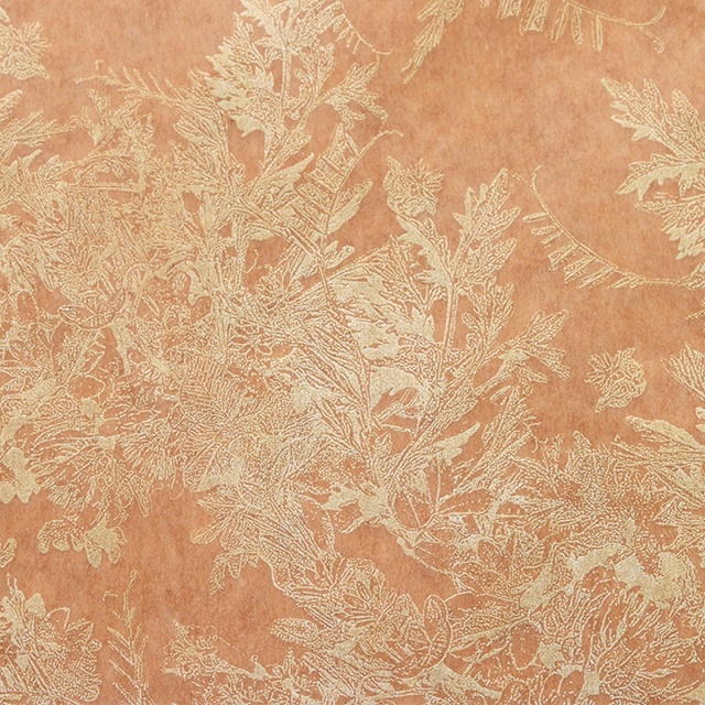 クロエ　ゴールド　拡大