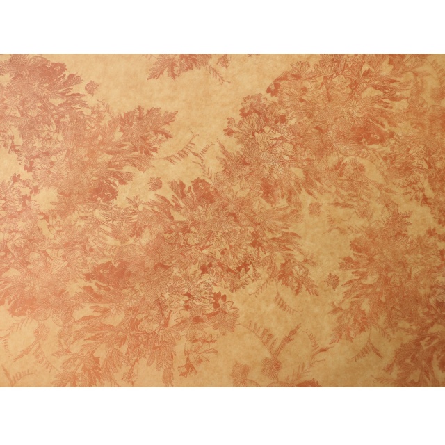 クロエブラウン柄