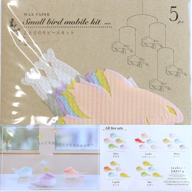 ことりムーンパッケージ