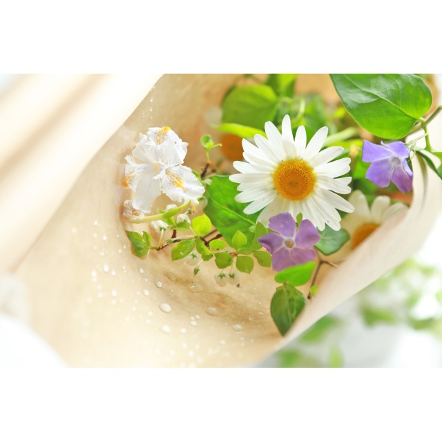 ポリラミ　撥水　花　