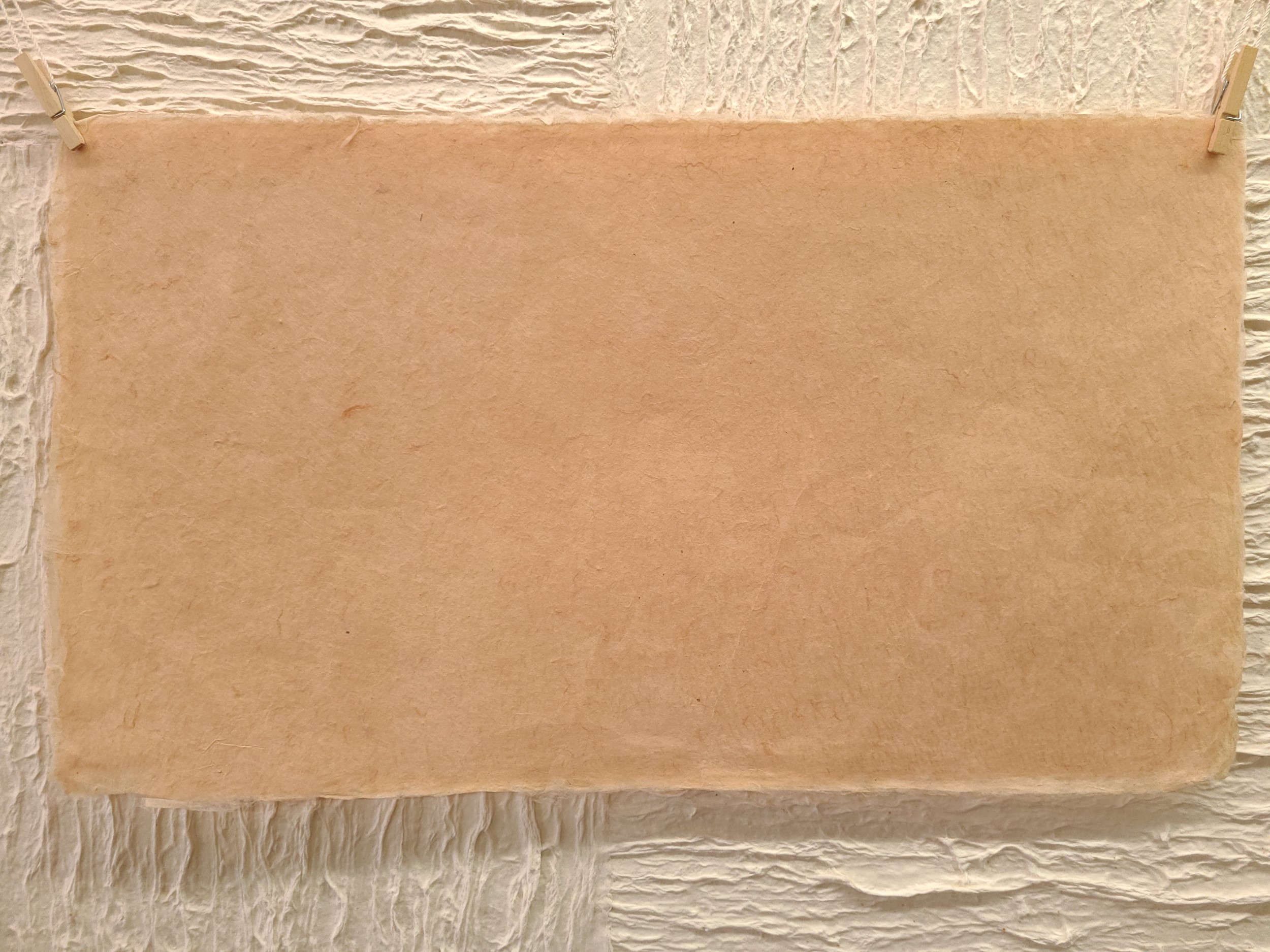 草木染め コスモス(赤)