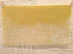 草木染め 小鮒草３