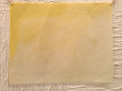 P10号　工芸紙　草木染め　小鮒草