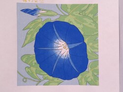 木版色紙　夏あさがお