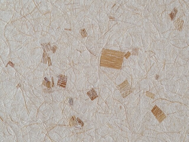 草木染め しなの皮,２