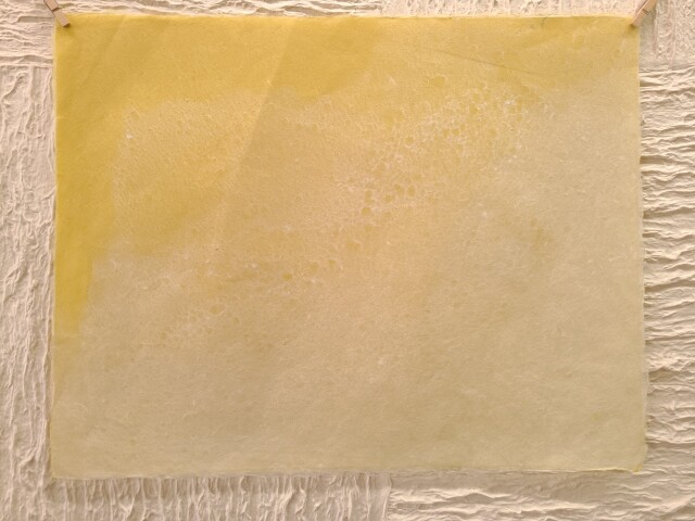 P10号　工芸紙　草木染め　小鮒草