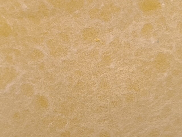 P10号　工芸紙　草木染め　小鮒草