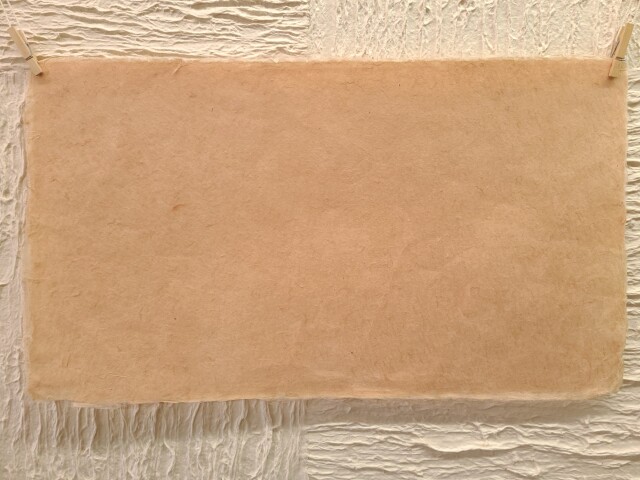 草木染め コスモス(赤)