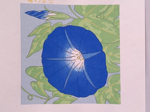 木版色紙　夏あさがお