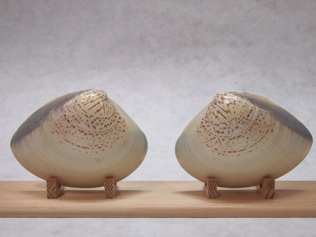 貝合わせ立雛