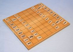 新桂（アガチス）折将棋盤　５号　Dセット