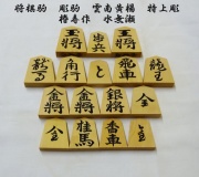 将棋各種