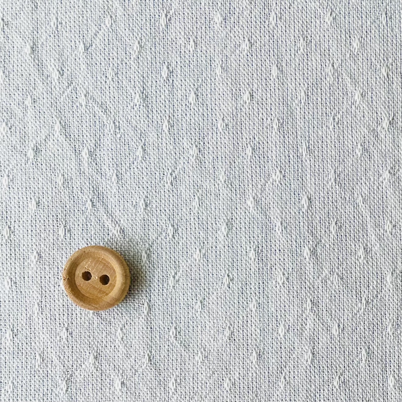 Y24-0234A　ドビードットシャンブレー  lightgray