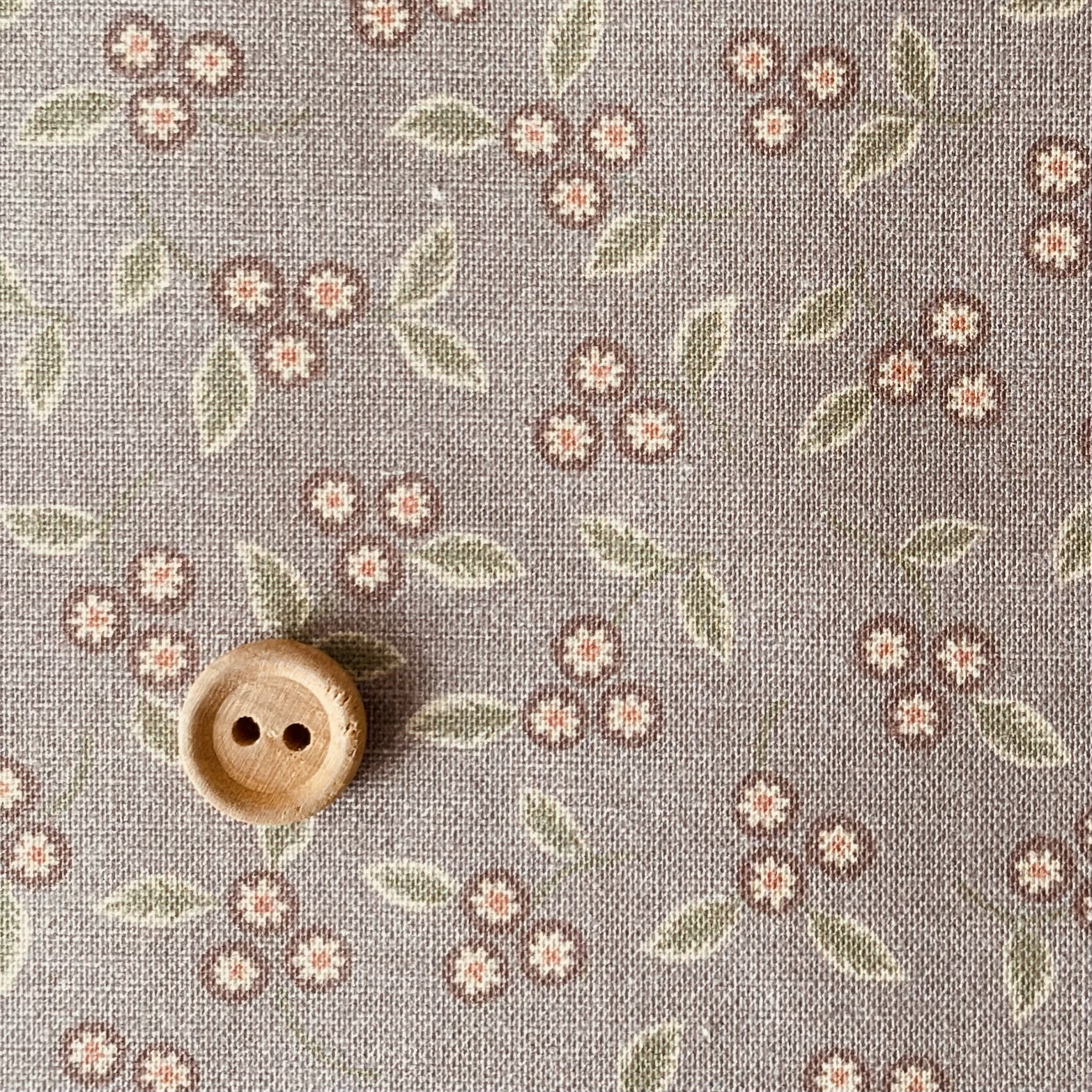 16-0269E Tasty collection  三つ花  brown
