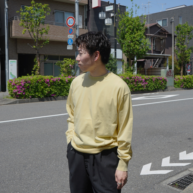 AURALEE GIZA HIGH GAUGE KNIT P/O