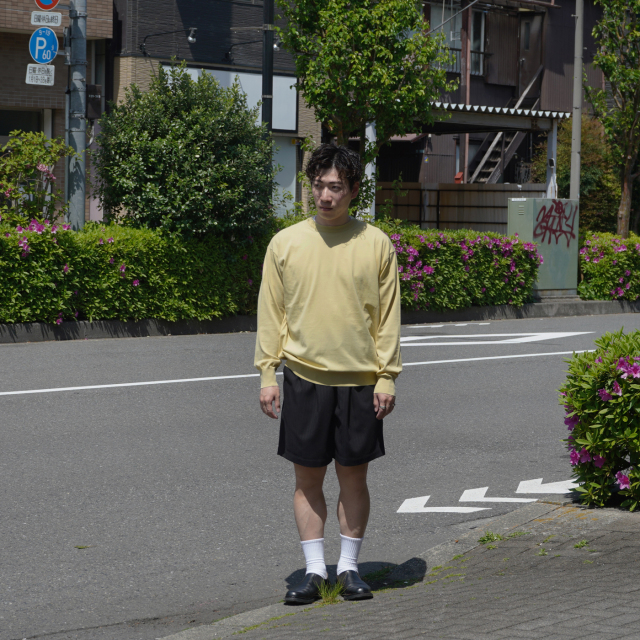 AURALEE GIZA HIGH GAUGE KNIT P/O