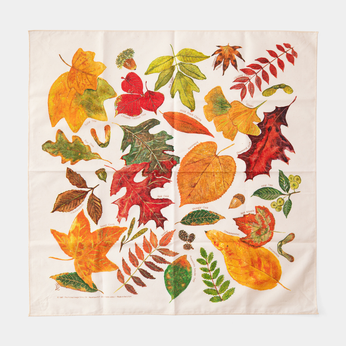 The Printed Image ネイチャープリントバンダナ フォールリーブズ (07152141)