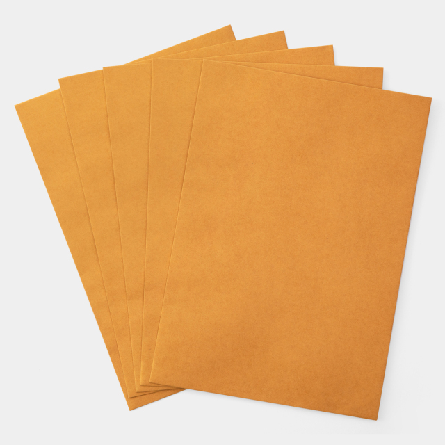 TF クラフトエンベロップ 紐付 229×324 (07100579)