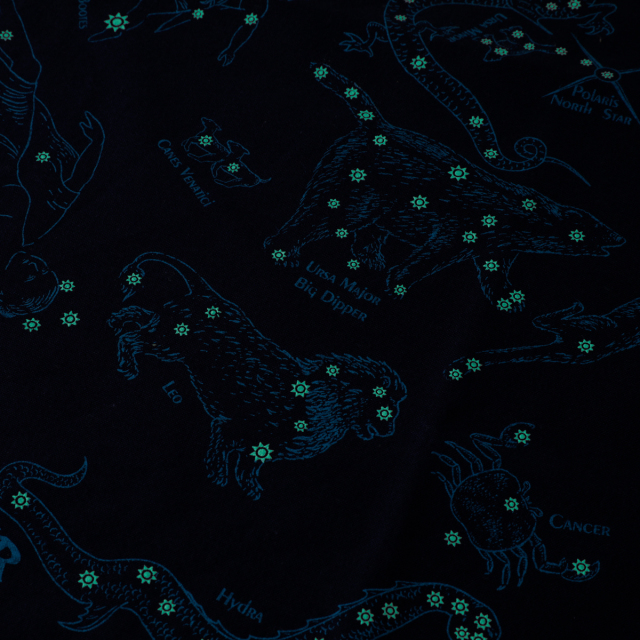 The Printed Image ネイチャープリントバンダナ 星座 (07152137)