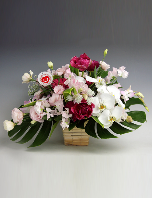 オーキッド・アレンジ～麗（うらら）～