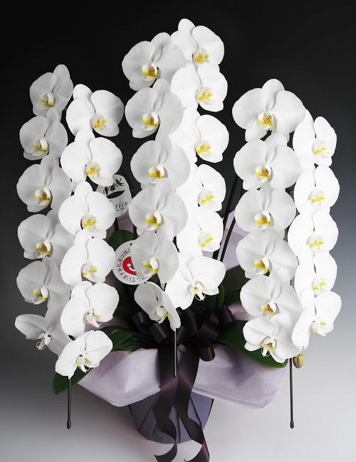 グリコ おまけ〈お花 花籠〉 323003571-r2.jpg