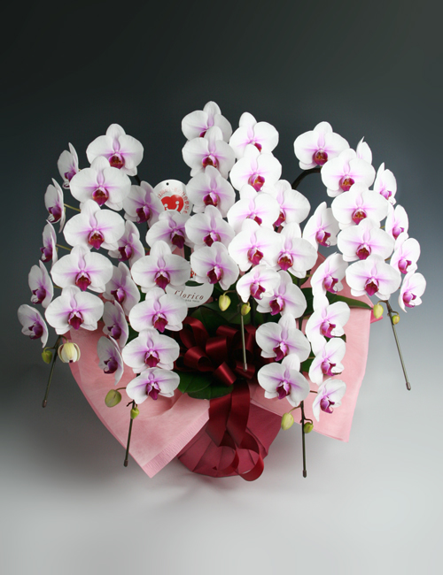 30,001円(税込)以上のお花 ～フロリコ オンライン ショップ～