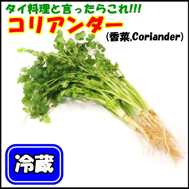 【冷蔵便】香菜/パクチー/千葉県産/約10kg入/業務用 冷蔵便】香菜/パクチー/千葉県産/約10kg入/業務用 （ずいきの