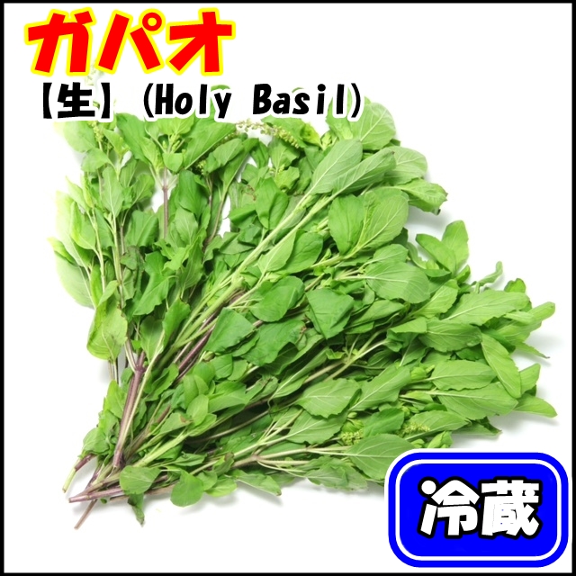 ガパオ(ホーリーバジル、Holy basil　50g 【冷蔵】