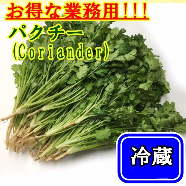 お得な業務用!! パクチータイ(コリアンダー、香菜) 500g【冷蔵】