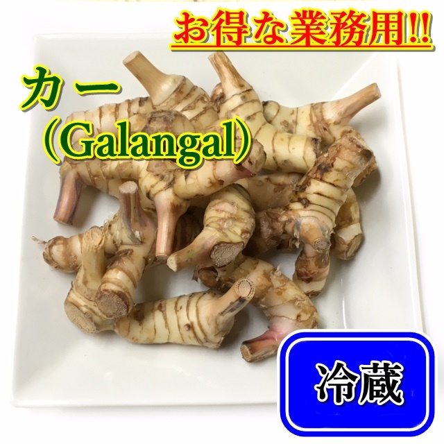 生ガランガル500g約約2袋。お料理用。普通温度発送 お得な業務用!! カー(ガランガー、Galangal) 500g 【冷蔵】