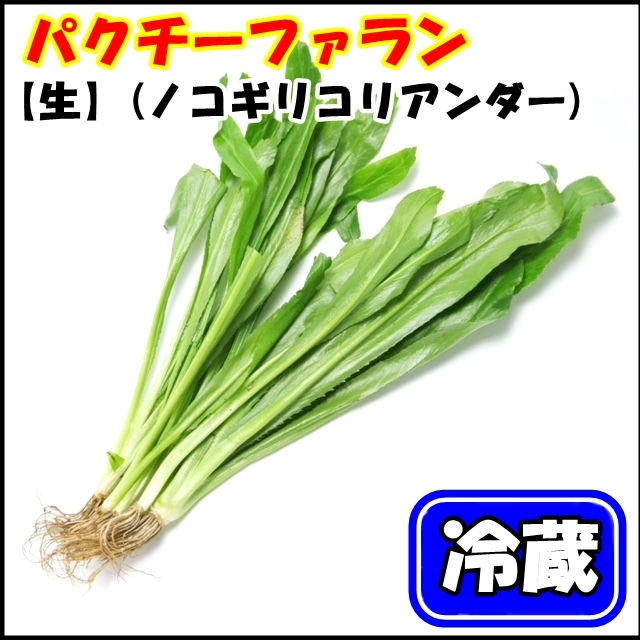 タイ産 パクチーファラン(オオバコエンドロ、Stink weed)　50g (生) 【冷蔵】