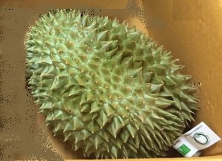 生鮮ドリアン　約2ｋｇ（±0.2ｋｇ）