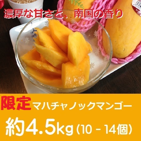 マハチャノックマンゴー