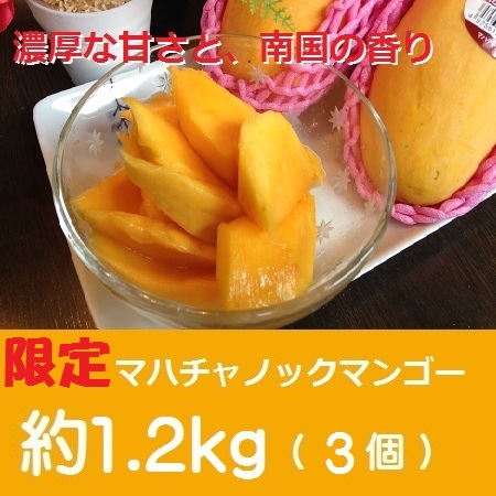 マハチャノックマンゴー