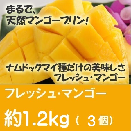 ナムドクマイマンゴー　約1.2Kg（２Ｌサイズ 3個セット）